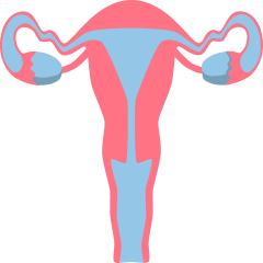 Gynae & Obs