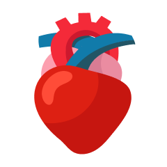 Cardiology
