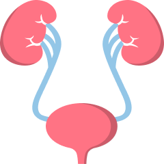 Urology