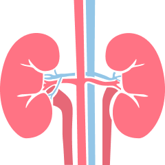 Nephrology
