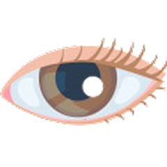 Ophthalmology